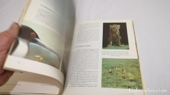 Libros de segunda mano: VIDA SECRETA DE LOS ANIMALES - WALT DISNEY - EDICIONES GAISA - Foto 21