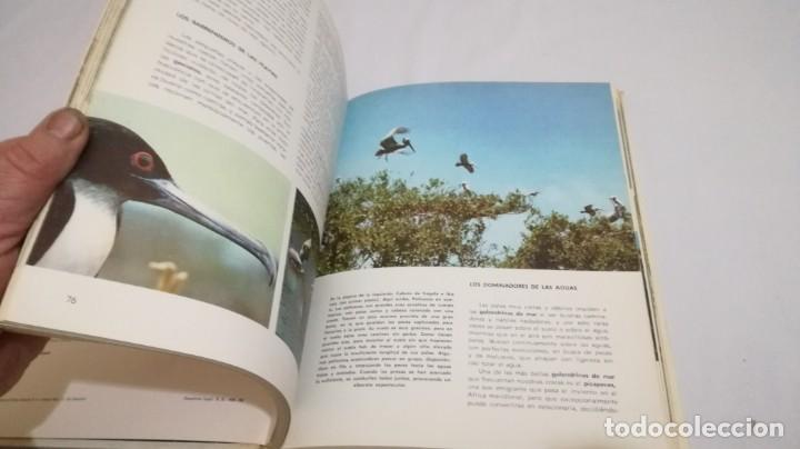 Libros de segunda mano: VIDA SECRETA DE LOS ANIMALES - WALT DISNEY - EDICIONES GAISA - Foto 22