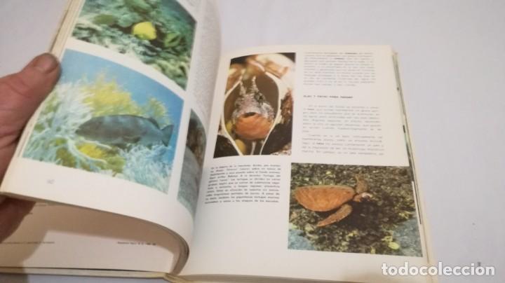 Libros de segunda mano: VIDA SECRETA DE LOS ANIMALES - WALT DISNEY - EDICIONES GAISA - Foto 23
