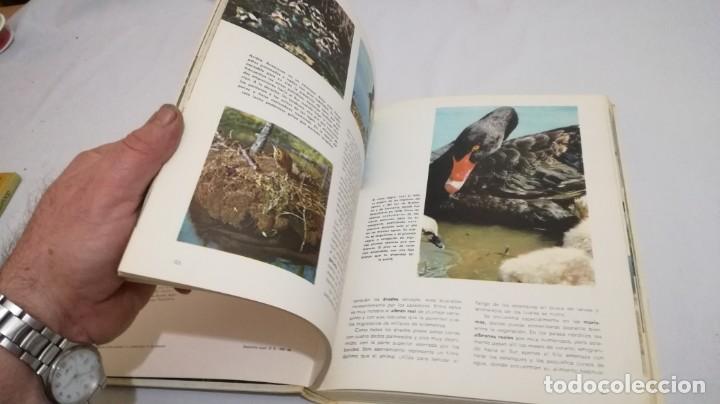 Libros de segunda mano: VIDA SECRETA DE LOS ANIMALES - WALT DISNEY - EDICIONES GAISA - Foto 24