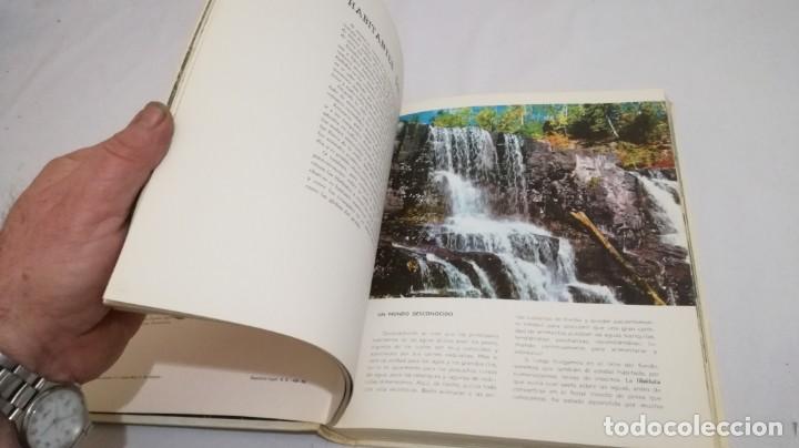 Libros de segunda mano: VIDA SECRETA DE LOS ANIMALES - WALT DISNEY - EDICIONES GAISA - Foto 25