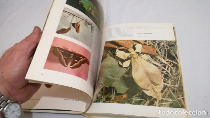 Libros de segunda mano: VIDA SECRETA DE LOS ANIMALES - WALT DISNEY - EDICIONES GAISA - Foto 27