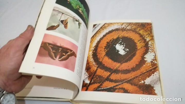 Libros de segunda mano: VIDA SECRETA DE LOS ANIMALES - WALT DISNEY - EDICIONES GAISA - Foto 28