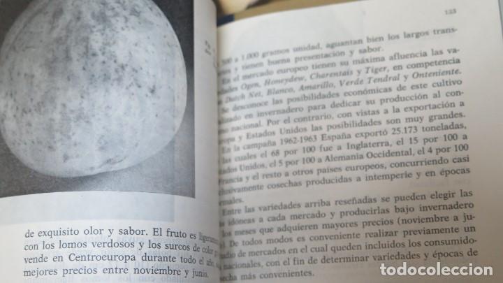 Libros de segunda mano: DIEZ TEMAS SOBRE LA HUERTA - Foto 3