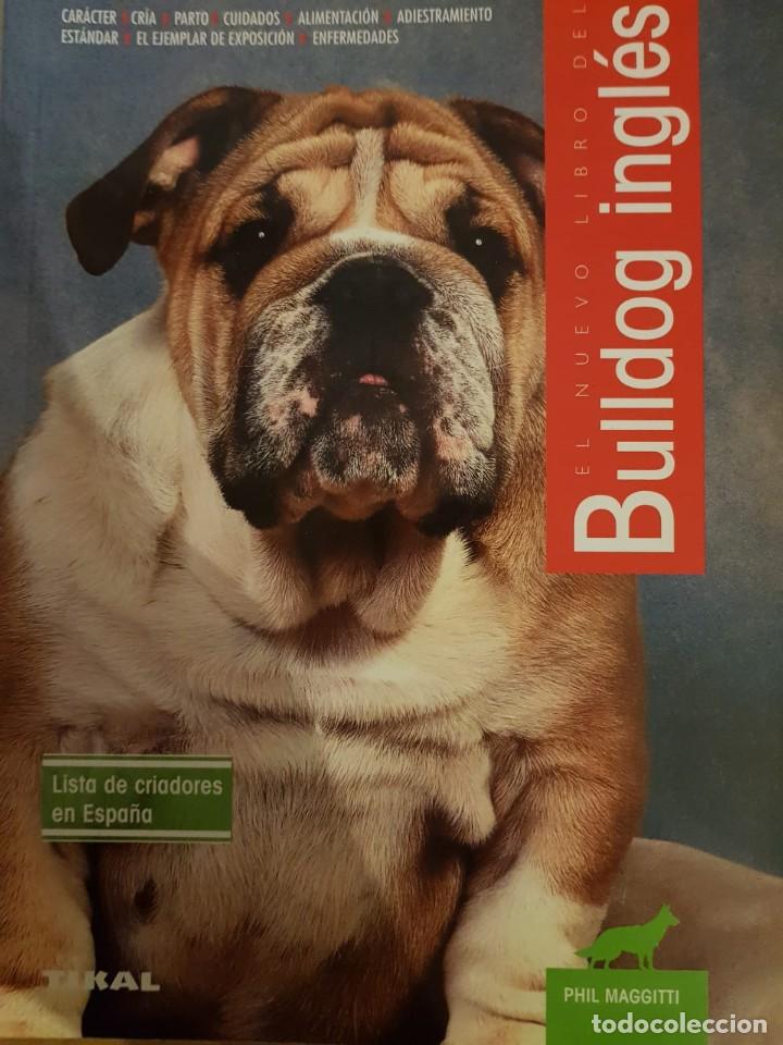 Libros de segunda mano: El nuevo libro del Chihuahua - Foto 1