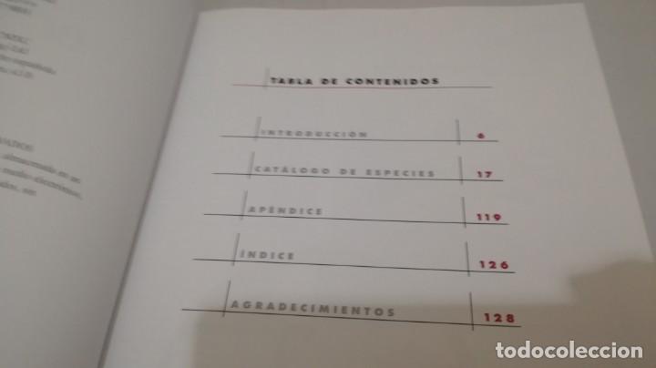 Libros de segunda mano: BONSAIS / GORDON OWEN / EDILUPA - Foto 7