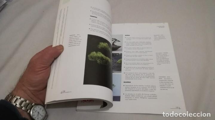Libros de segunda mano: BONSAIS / GORDON OWEN / EDILUPA - Foto 10