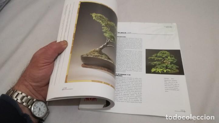 Libros de segunda mano: BONSAIS / GORDON OWEN / EDILUPA - Foto 11