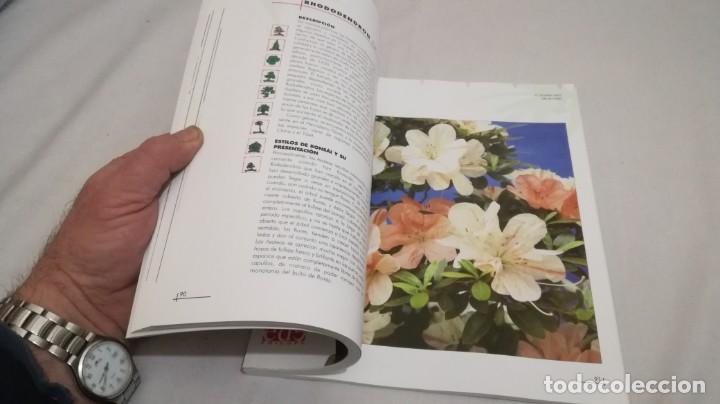 Libros de segunda mano: BONSAIS / GORDON OWEN / EDILUPA - Foto 13