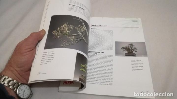 Libros de segunda mano: BONSAIS / GORDON OWEN / EDILUPA - Foto 14