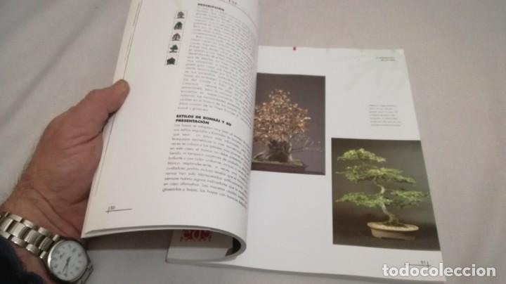 Libros de segunda mano: BONSAIS / GORDON OWEN / EDILUPA - Foto 15
