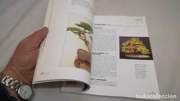 Libros de segunda mano: BONSAIS / GORDON OWEN / EDILUPA - Foto 17