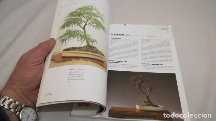 Libros de segunda mano: BONSAIS / GORDON OWEN / EDILUPA - Foto 18