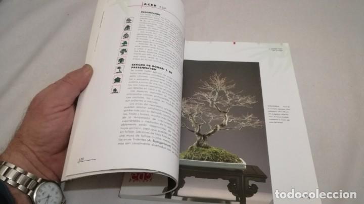 Libros de segunda mano: BONSAIS / GORDON OWEN / EDILUPA - Foto 19