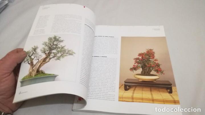 Libros de segunda mano: BONSAIS / GORDON OWEN / EDILUPA - Foto 21