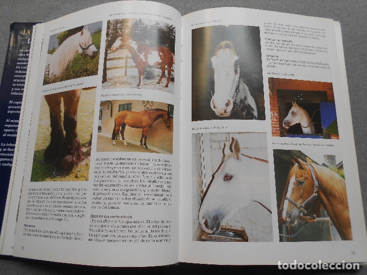 Libros de segunda mano: LA ENCICLOPEDIA DEL CABALLO - Foto 6