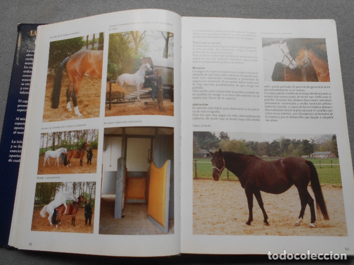 Libros de segunda mano: LA ENCICLOPEDIA DEL CABALLO - Foto 7