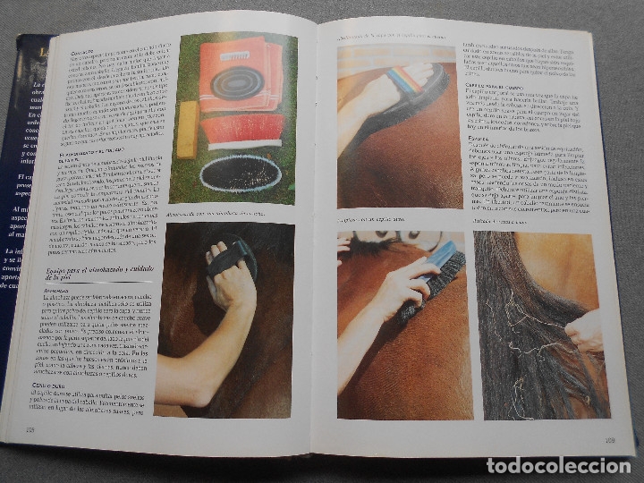 Libros de segunda mano: LA ENCICLOPEDIA DEL CABALLO - Foto 8