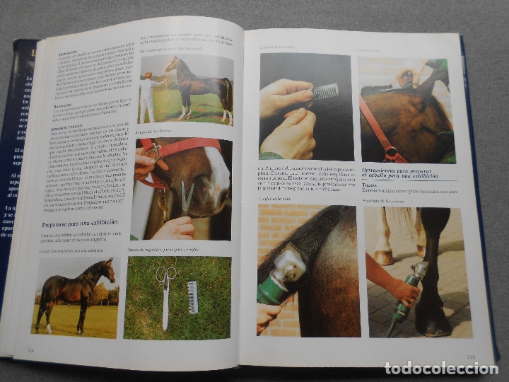 Libros de segunda mano: LA ENCICLOPEDIA DEL CABALLO - Foto 9