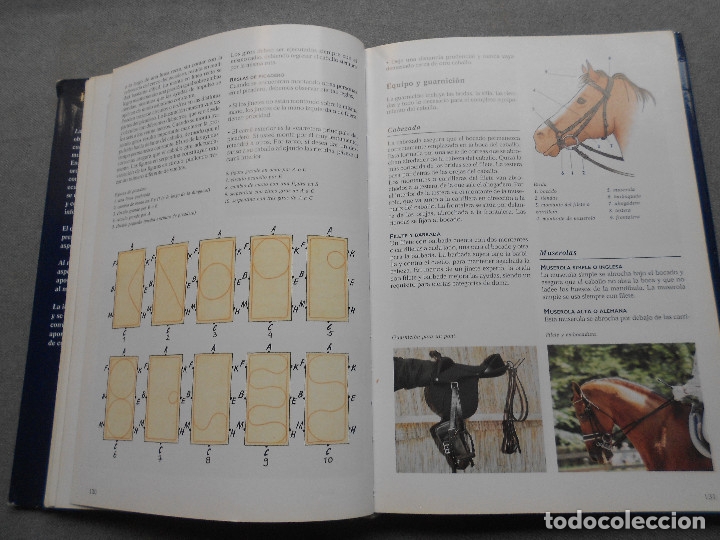 Libros de segunda mano: LA ENCICLOPEDIA DEL CABALLO - Foto 10