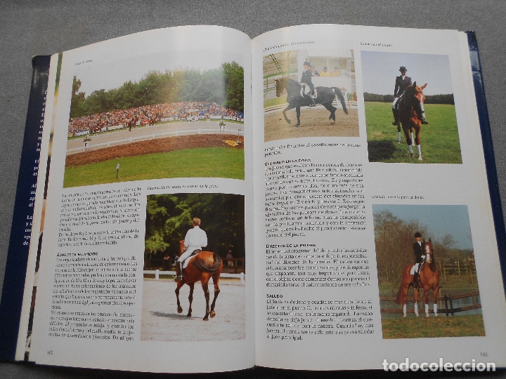 Libros de segunda mano: LA ENCICLOPEDIA DEL CABALLO - Foto 12