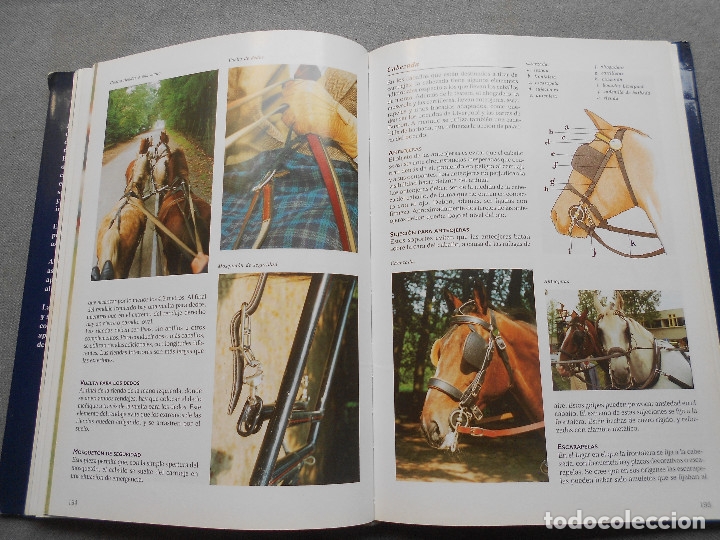 Libros de segunda mano: LA ENCICLOPEDIA DEL CABALLO - Foto 14