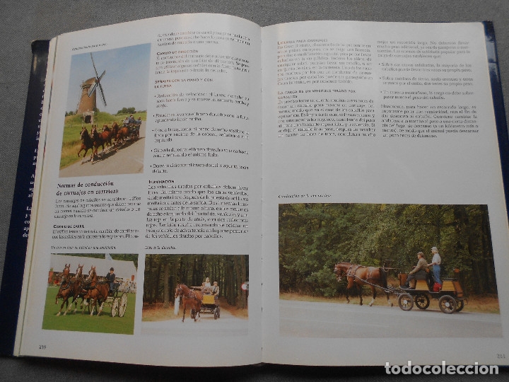 Libros de segunda mano: LA ENCICLOPEDIA DEL CABALLO - Foto 15