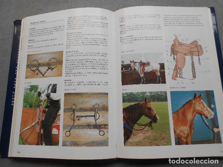 Libros de segunda mano: LA ENCICLOPEDIA DEL CABALLO - Foto 16