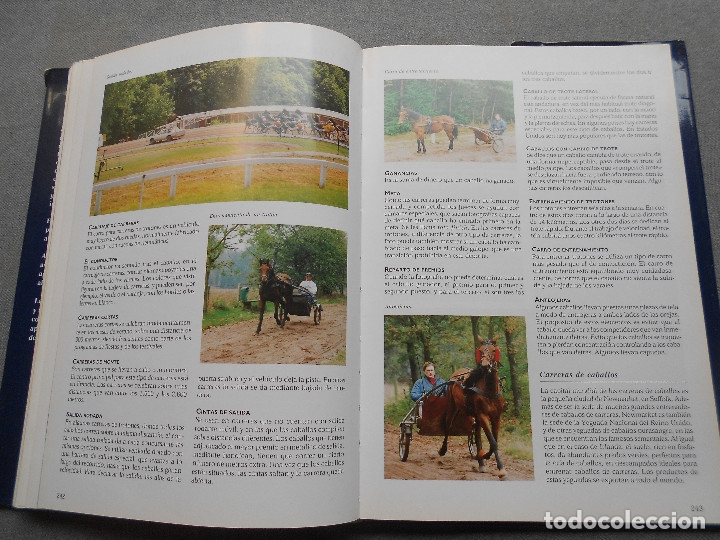 Libros de segunda mano: LA ENCICLOPEDIA DEL CABALLO - Foto 18