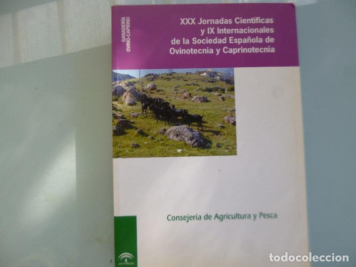 Gebrauchte B&uuml;cher: XXX JORNADAS CIENT&Iacute;FICAS DE SOCIEDAD ESPA&Ntilde;OLA DE OVINOTECNIA Y CAPRINOTECNIA. ,