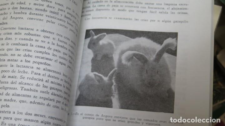 Libros de segunda mano: DIEZ TEMAS SOBRE EL CONEJO - Foto 3