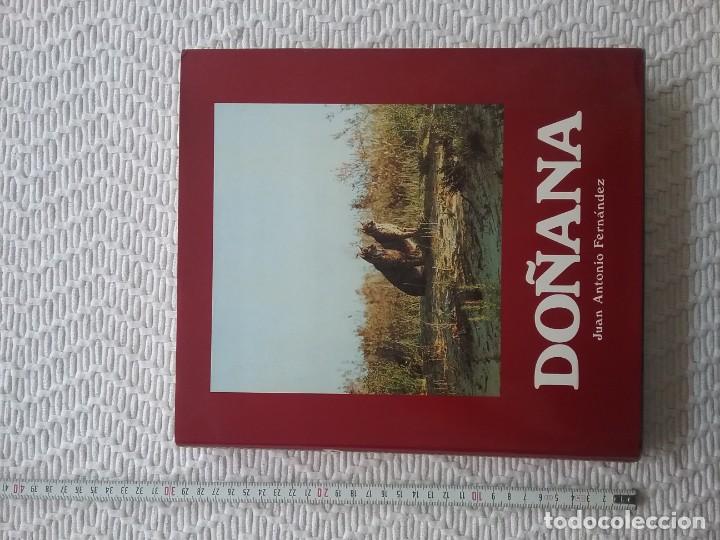 Libros de segunda mano: Do&ntilde;ana. Huelva, C&aacute;diz, Sevilla. - Foto 2