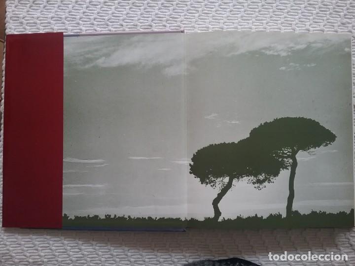 Libros de segunda mano: Do&ntilde;ana. Huelva, C&aacute;diz, Sevilla. - Foto 3