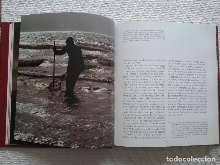 Libros de segunda mano: Do&ntilde;ana. Huelva, C&aacute;diz, Sevilla. - Foto 4