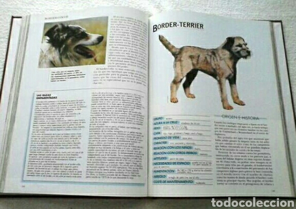 Libros de segunda mano: Mis amigos los perros. Enciclopedia 6 tomos - Foto 3