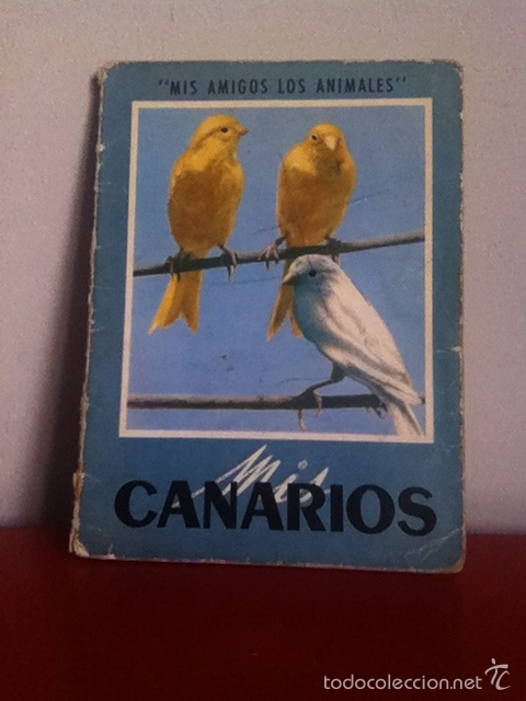Libros de segunda mano: MIS CANARIOS. MIS AMIGOS LOS ANIMALES - Foto 1