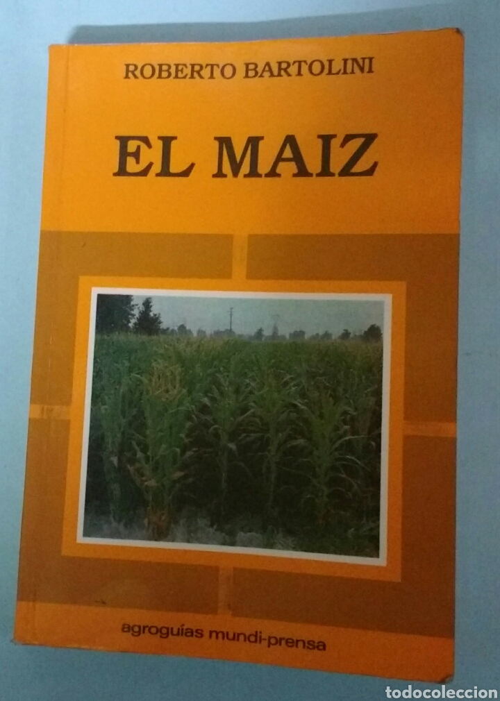 Libros de segunda mano: El maiz. Roberto Bartolini - Foto 1