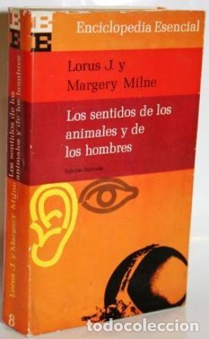 Libri di seconda mano: Los sentidos de los animales y de los hombres. Lorus J. y Margery Milne