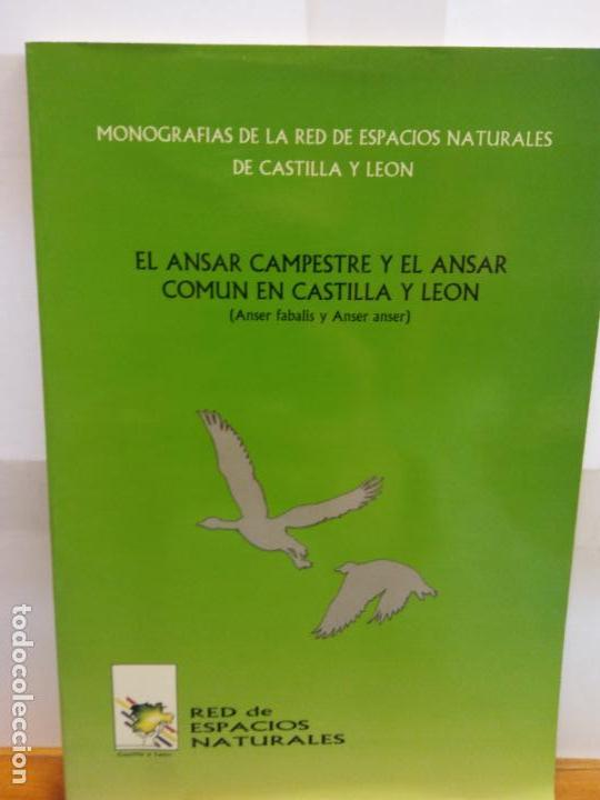 Libros de segunda mano: STQ.EL ANSAR CAMPESTRE Y EL ANSAR COMUN EN CASTILLA Y LEON... - Foto 1