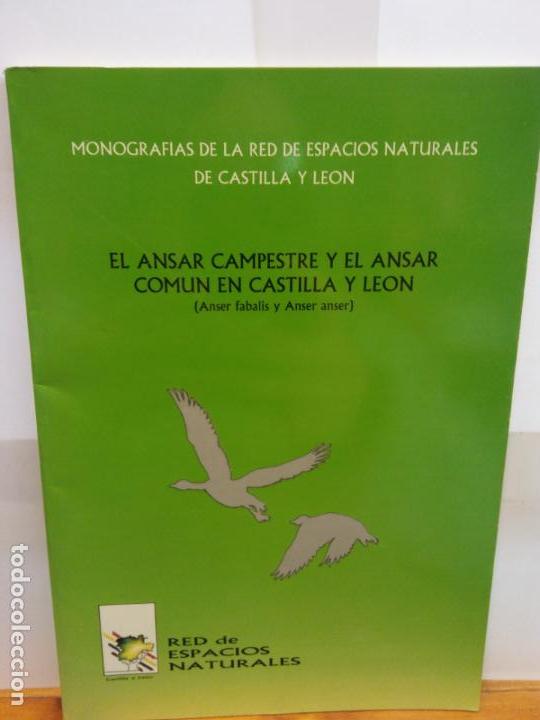 Libros de segunda mano: STQ.EL ANSAR CAMPESTRE Y EL ANSAR COMUN EN CASTILLA Y LEON... - Foto 1