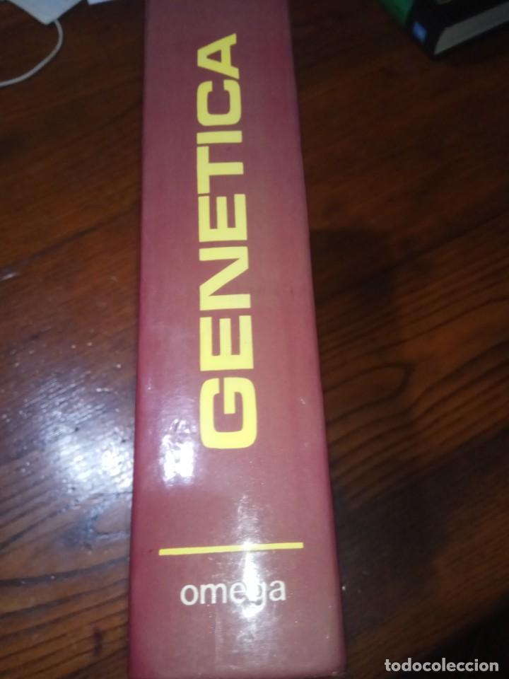 Libros de segunda mano: Gen&eacute;tica. Strickberger.OMEGA. - Foto 2