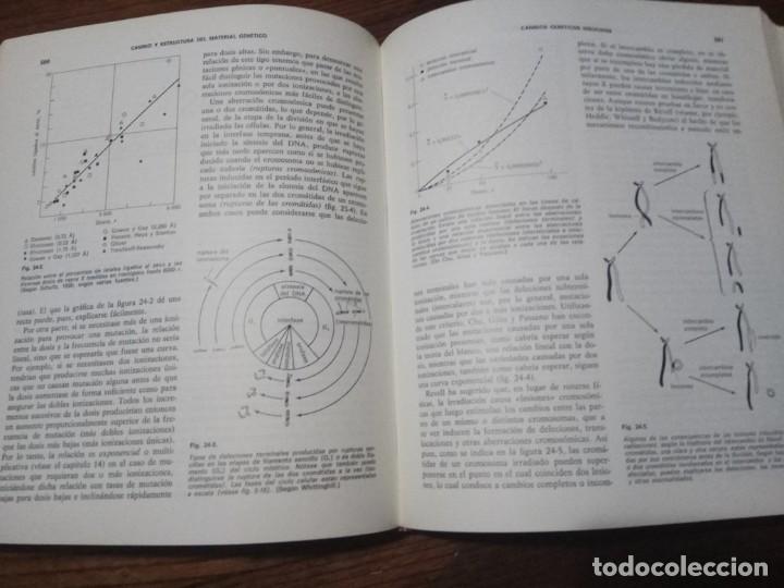 Libros de segunda mano: Gen&eacute;tica. Strickberger.OMEGA. - Foto 4
