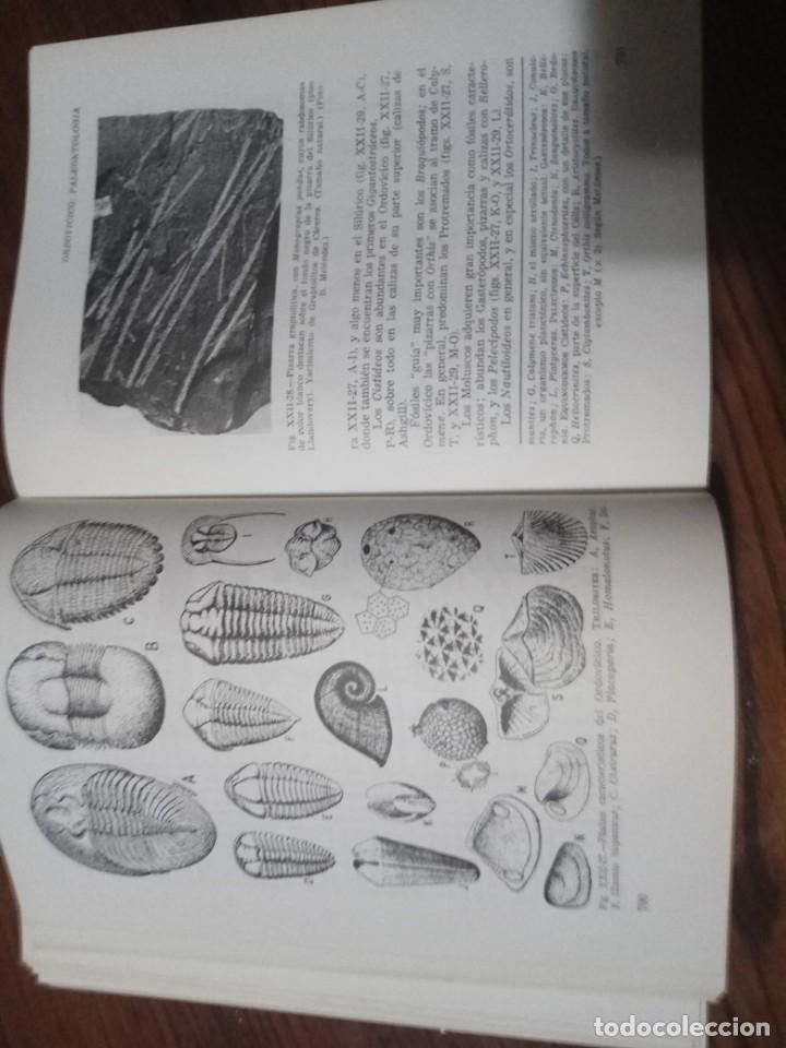Libros de segunda mano: GEOLOGIA- MELENDEZ FUSTER. - Foto 4