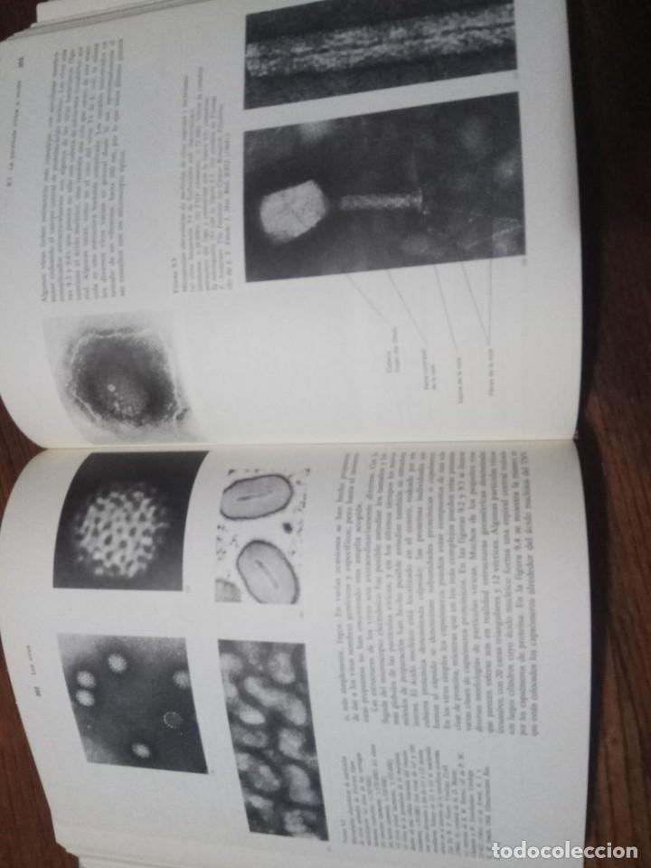 Libros de segunda mano: BIOLOGIA DE LOS MICROORGANISMOS.- THOMAS D. BROCK. - Foto 4