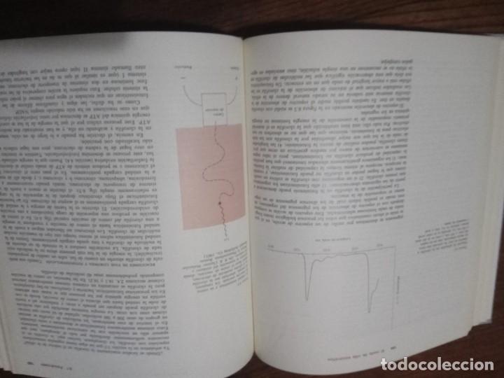 Libros de segunda mano: BIOLOGIA DE LOS MICROORGANISMOS.- THOMAS D. BROCK. - Foto 5