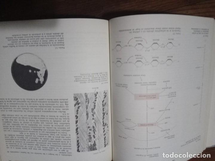 Libros de segunda mano: BIOLOGIA DE LOS MICROORGANISMOS.- THOMAS D. BROCK. - Foto 6