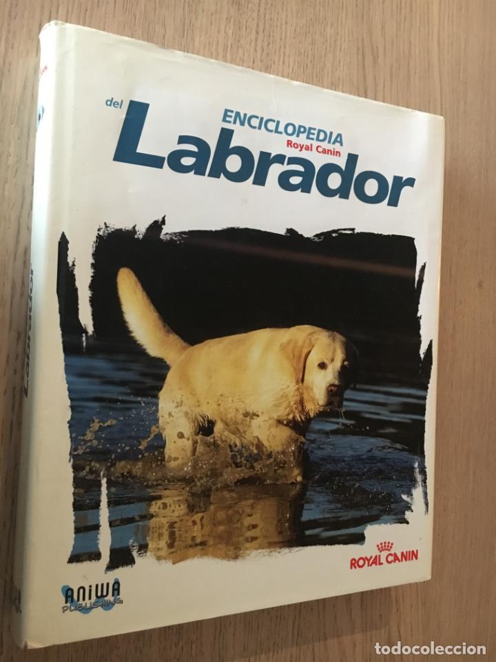 Libros de segunda mano: ENCICLOPEDIA DEL LABRADOR. ED. ANIWA. ROYAL CANIN. 2003 - Foto 1