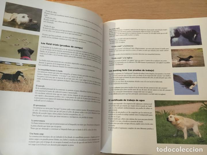 Libros de segunda mano: ENCICLOPEDIA DEL LABRADOR. ED. ANIWA. ROYAL CANIN. 2003 - Foto 2