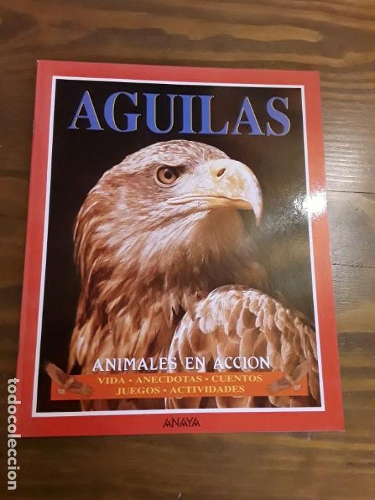 Libros de segunda mano: Aguilas. Animales en acci&oacute;n. Ed. Anaya. - Foto 1
