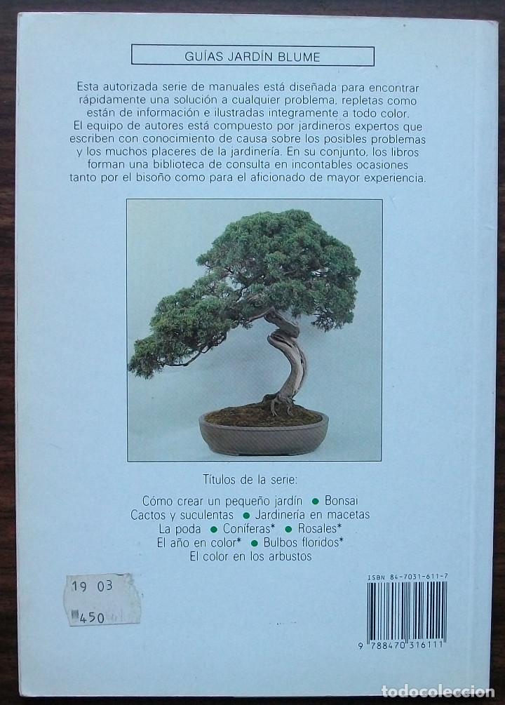 Desaparecer Noreste Atticus guias jardin blume bonsai. anne swinton - Compra venta en todocoleccion